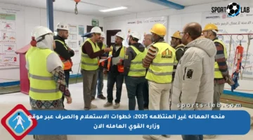 منحة العمالة غير المنتظمة 2025: خطوات الاستعلام والصرف عبر موقع وزارة القوى العاملة الآن